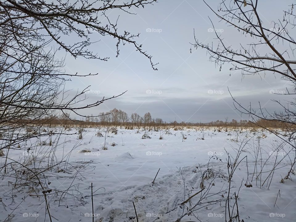 A field in the snow