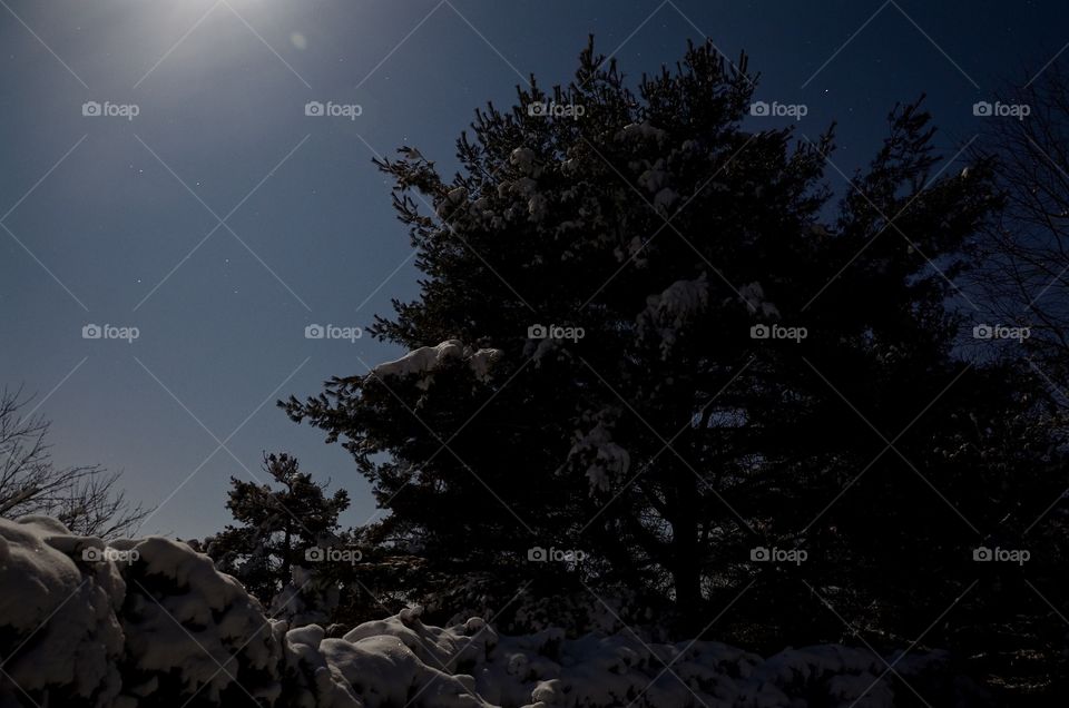 In the moonlight. Set up the tripod on a very cold night and took some pictures of the stars and scenery. 