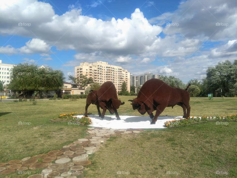 figure animals Olympics street art landscape in the Minsk city Belarus