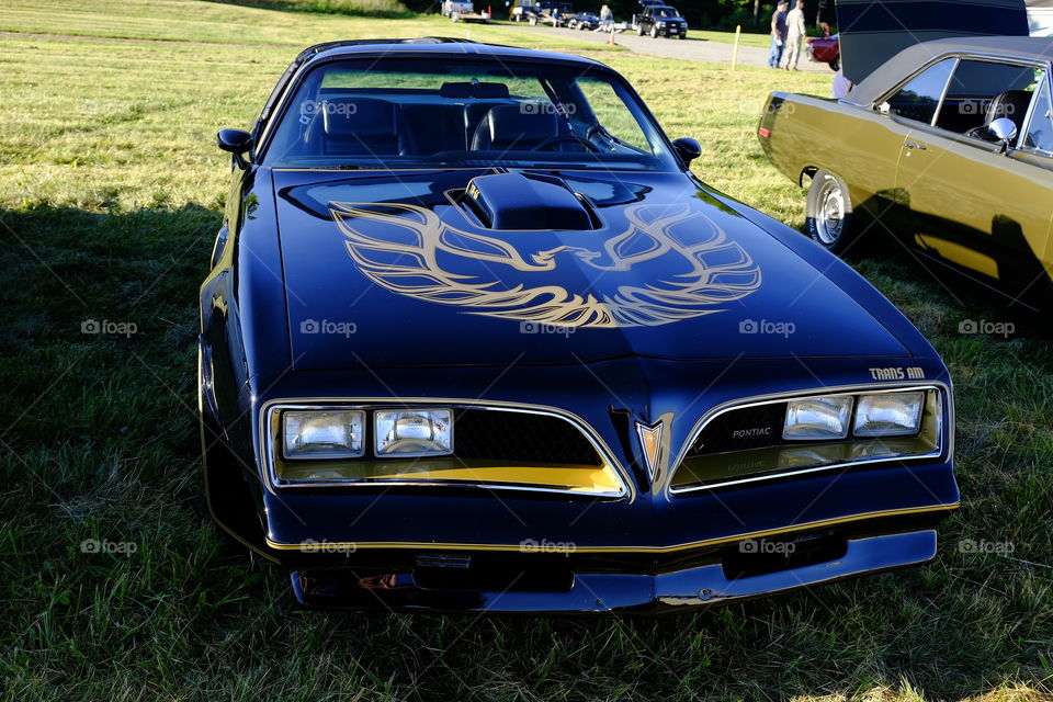 Pontiac trans am