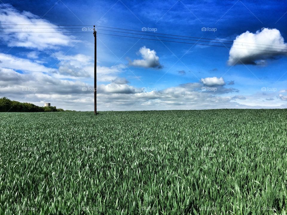 Crop view