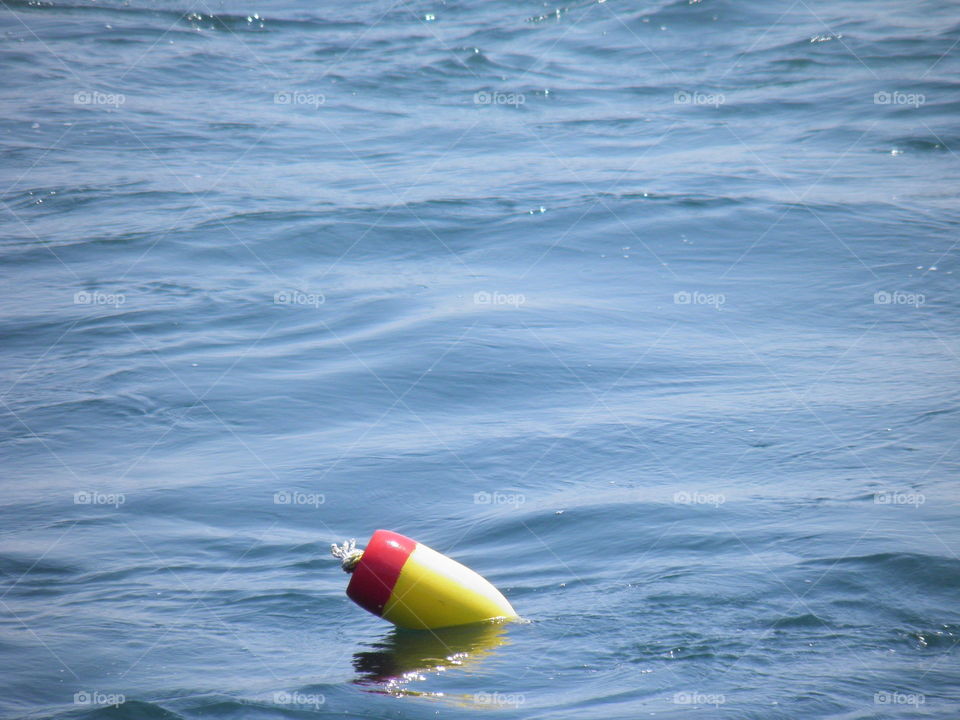 Bobbing Buoy