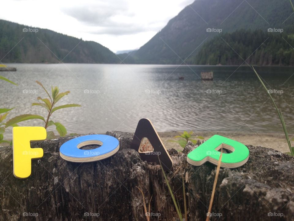 Foaping by the Lake.... Foap letters on an old growth forest tree stump by Lake