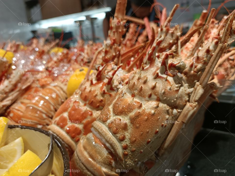 Lobster