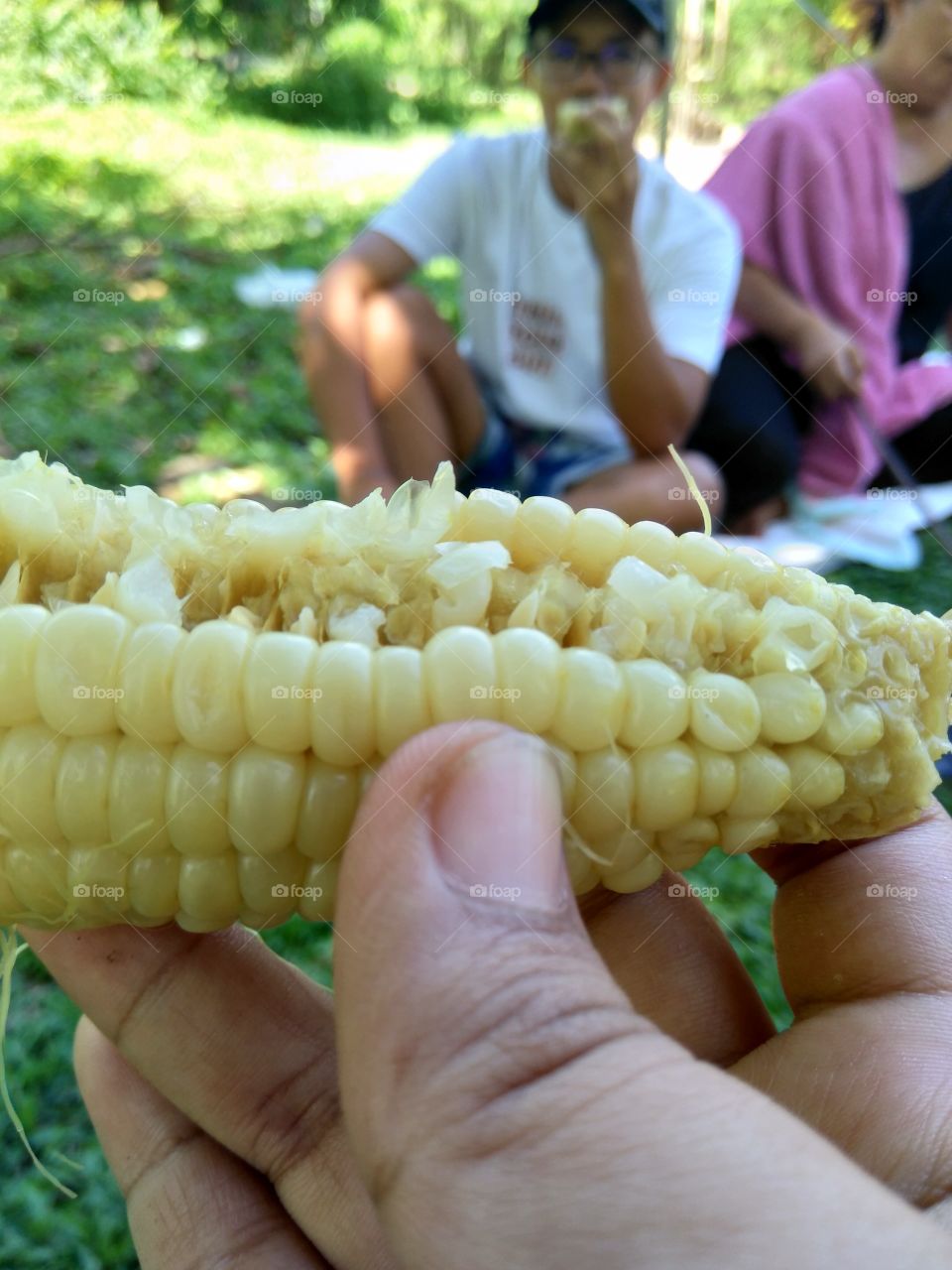 corn