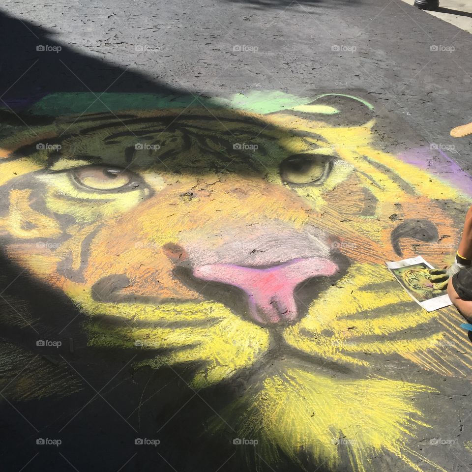 Tiger chalk drawing