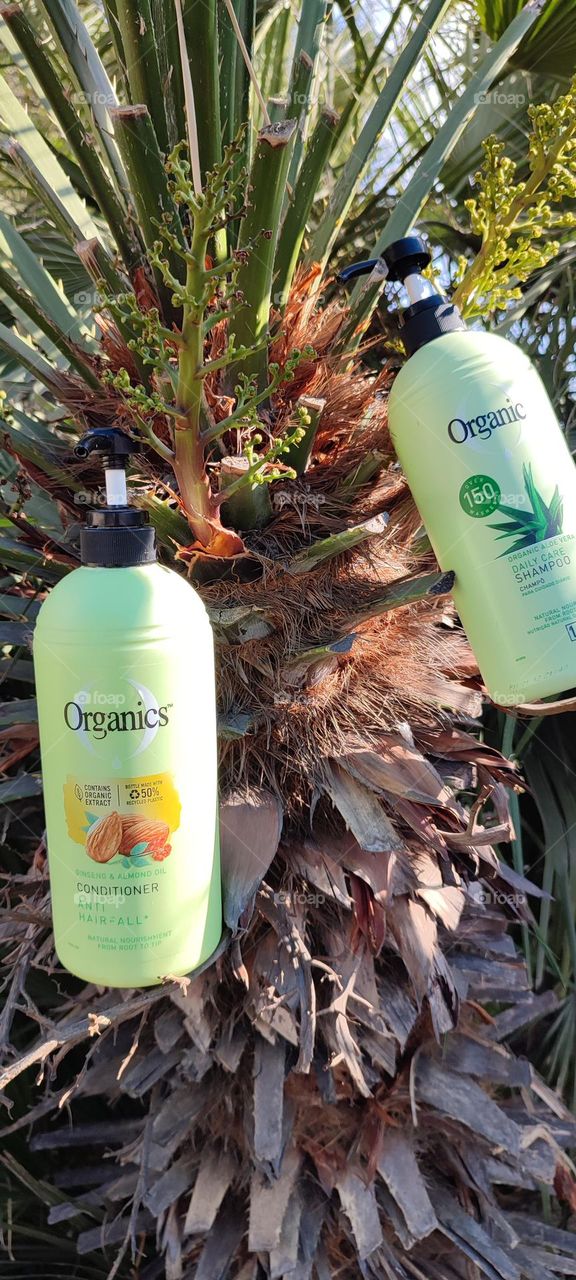 Organis Daily Care 2-in-1, Shampoo and Conditioner
