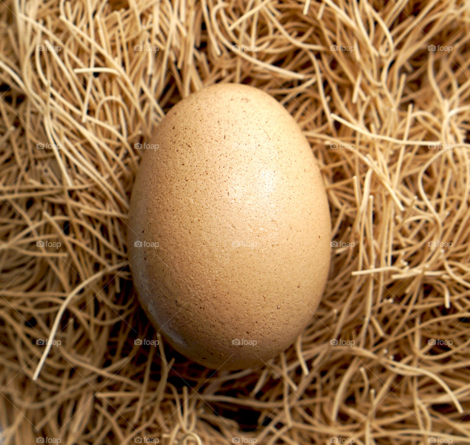 Organic fresh egg closeup on the brown nest noodle Easter holiday growth meaning 