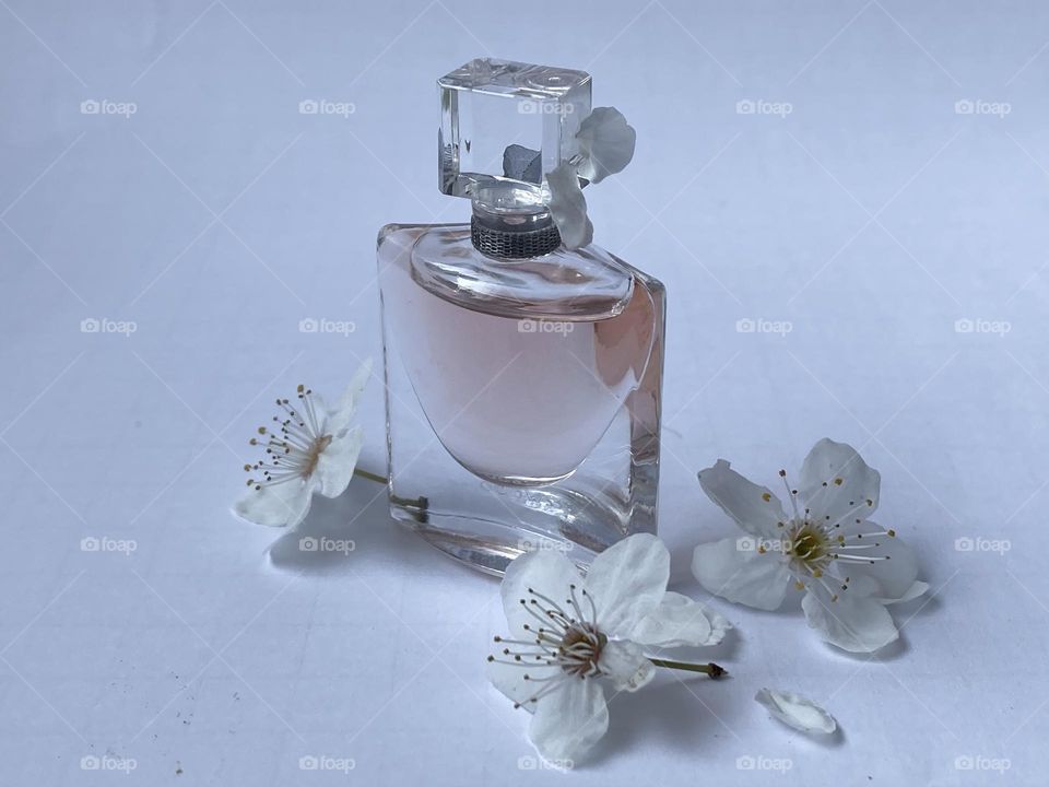 Bottle of perfume and white blossoms 