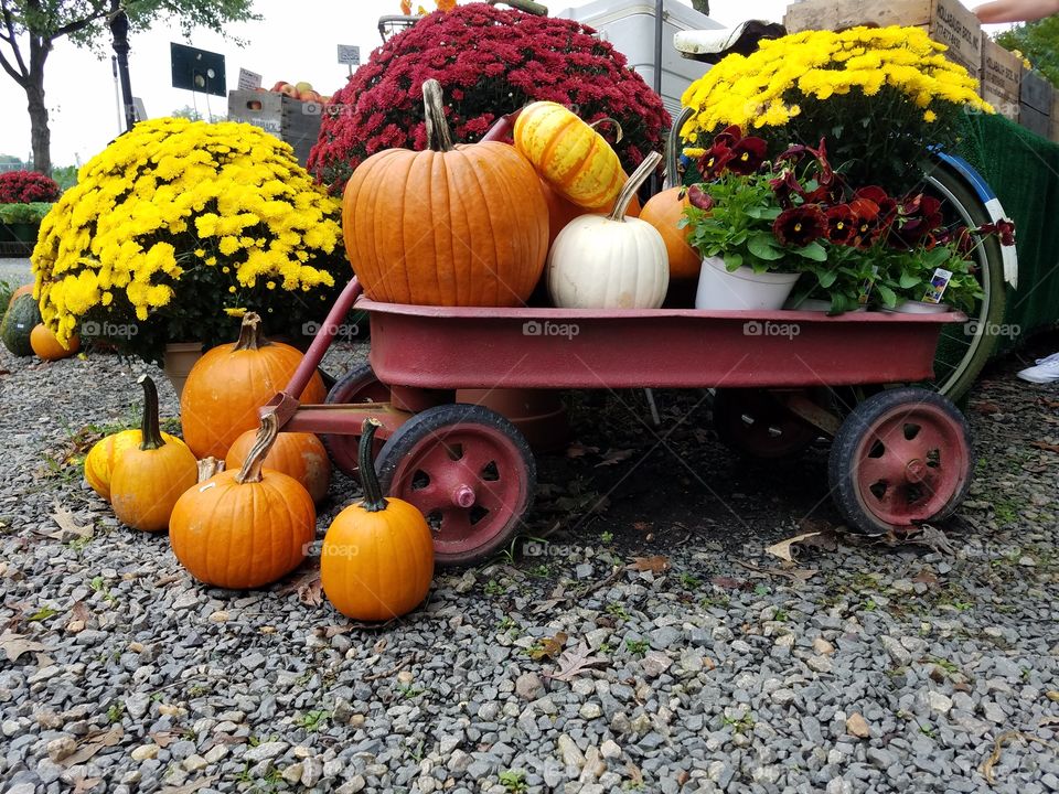 A variety of pumpkins and fall flowers in a wagon