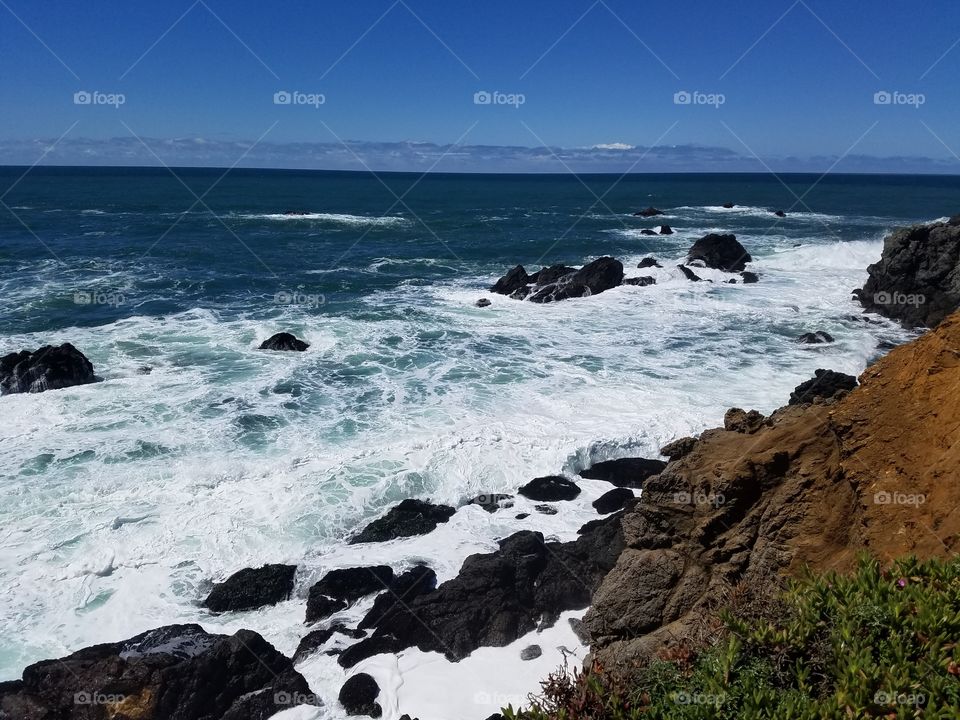 bodega bay ocean beach