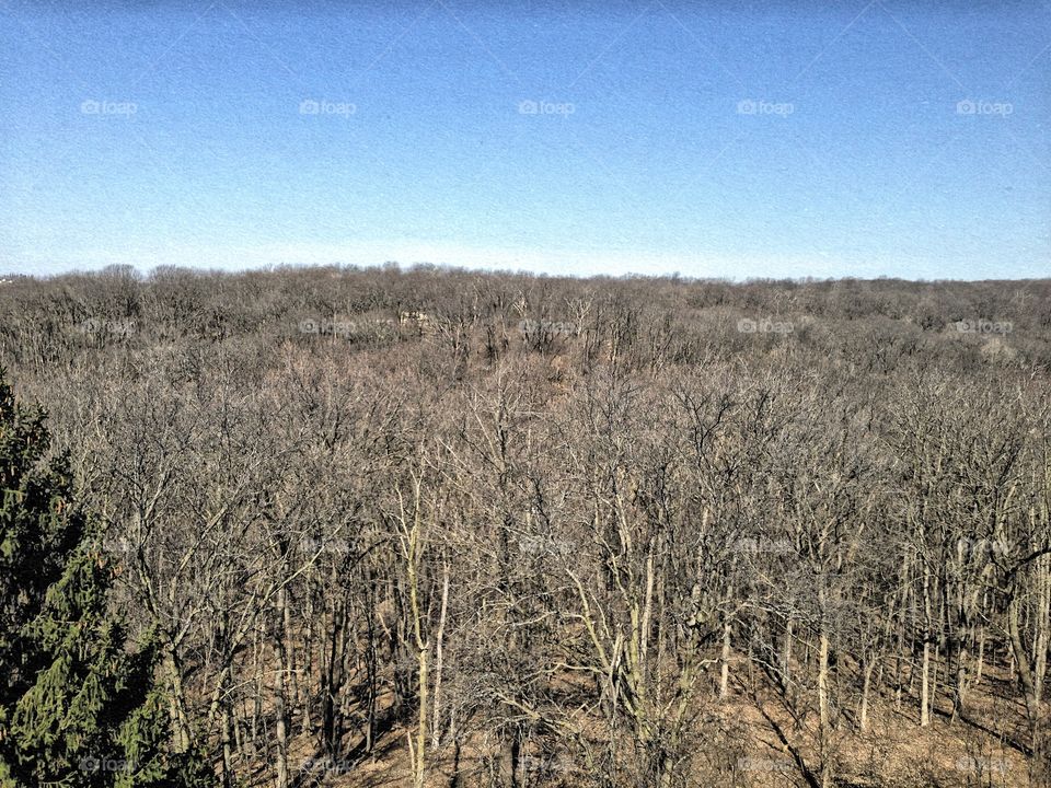 View from the top of the observation tower at Pinicon Ridge Park - Iowa 