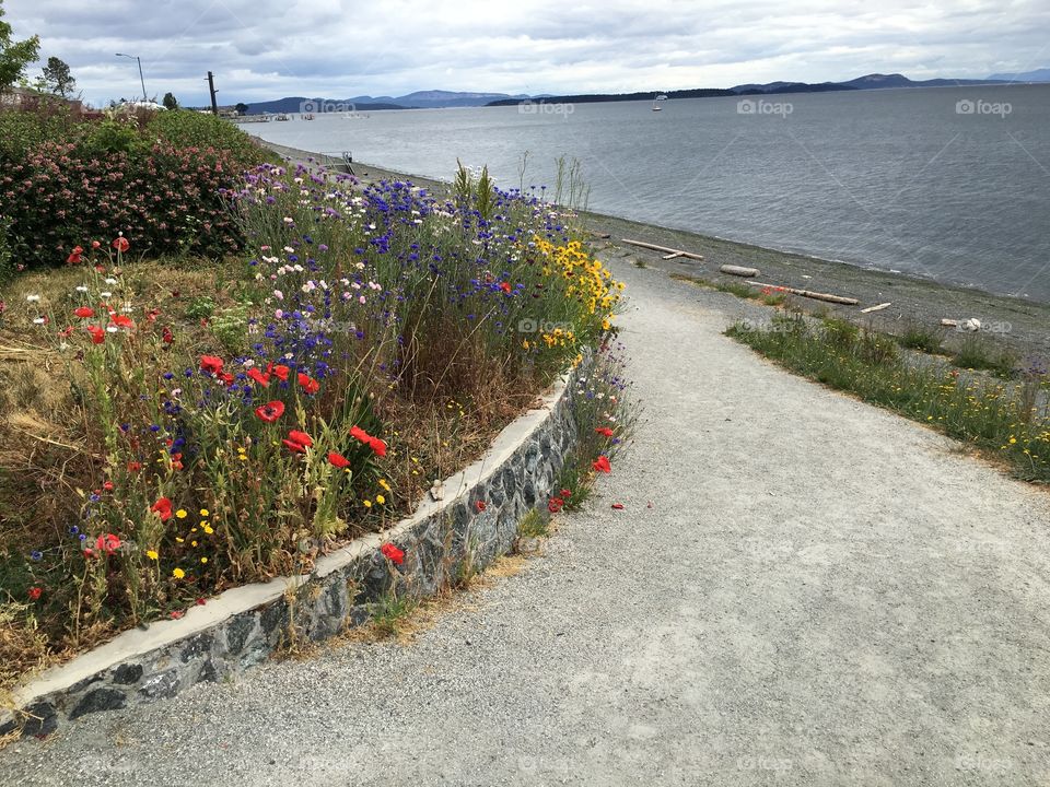 Path by the beach