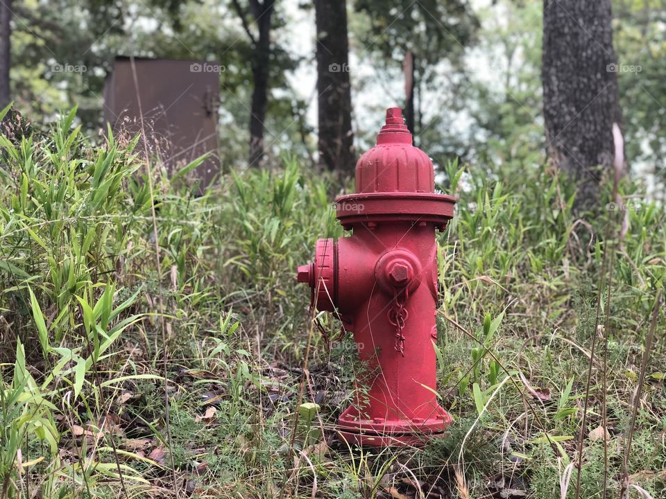 Old Red Fire Hydrant 