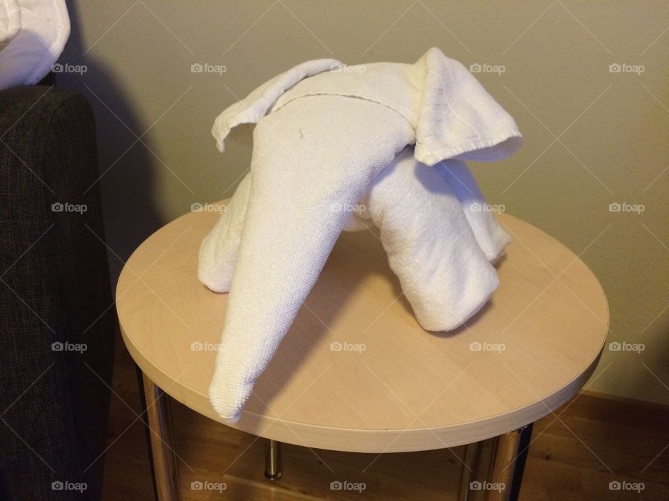 Elephant towel