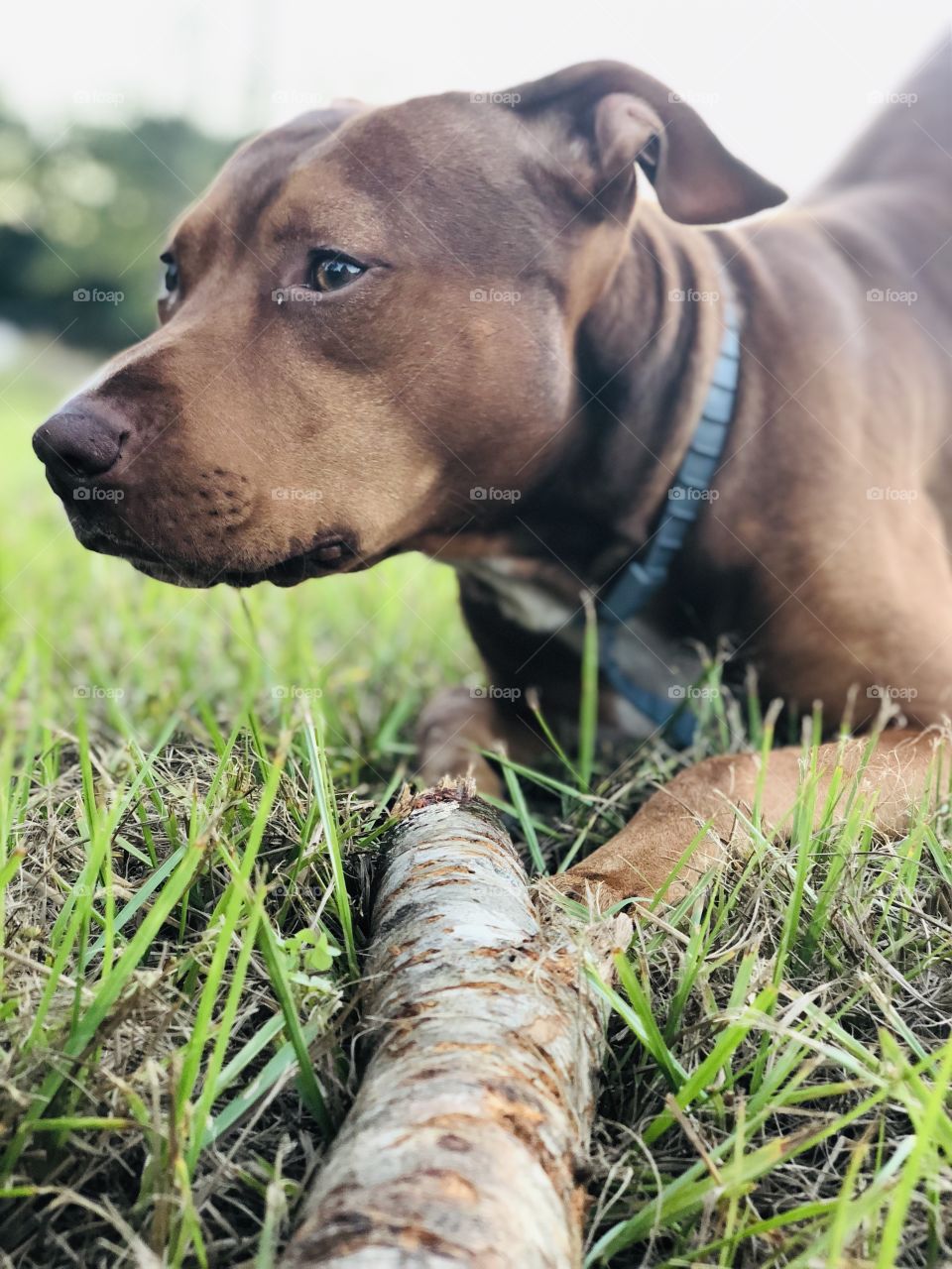 My best friend and his stick💕