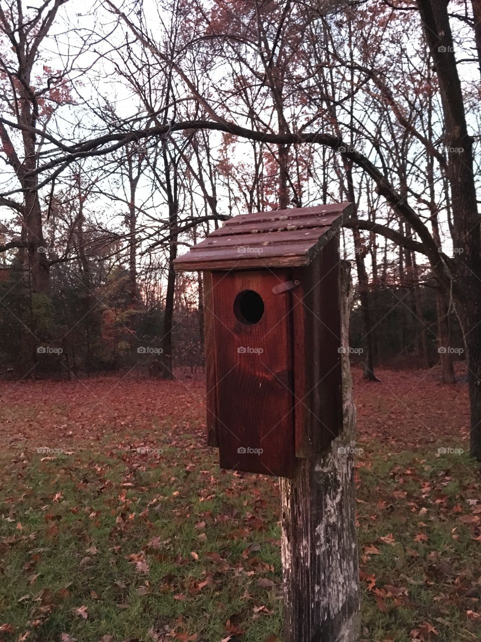 Bird house