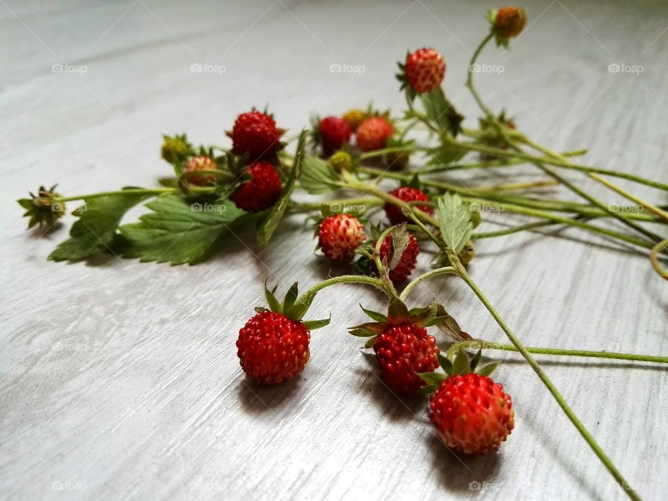 Freshly wild strawberries