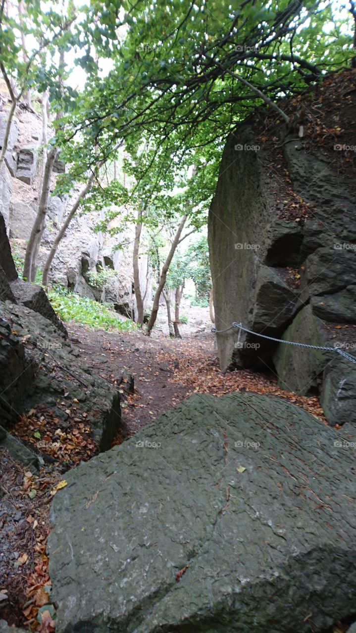 Path through woodland and rocks