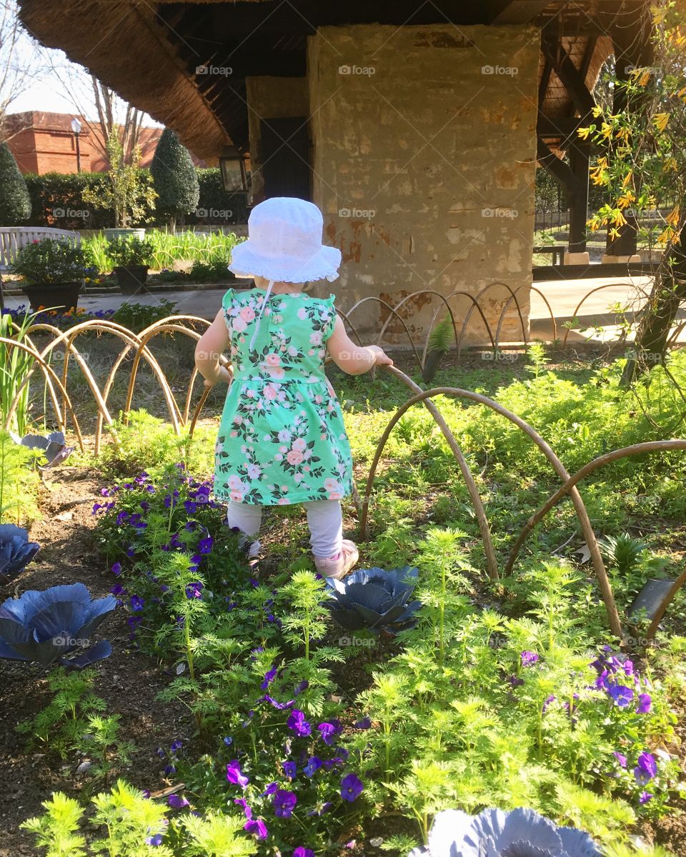 My little garden helper