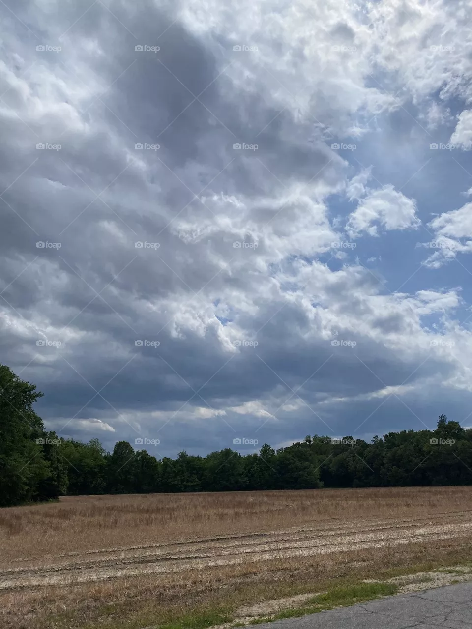 A beautiful view 