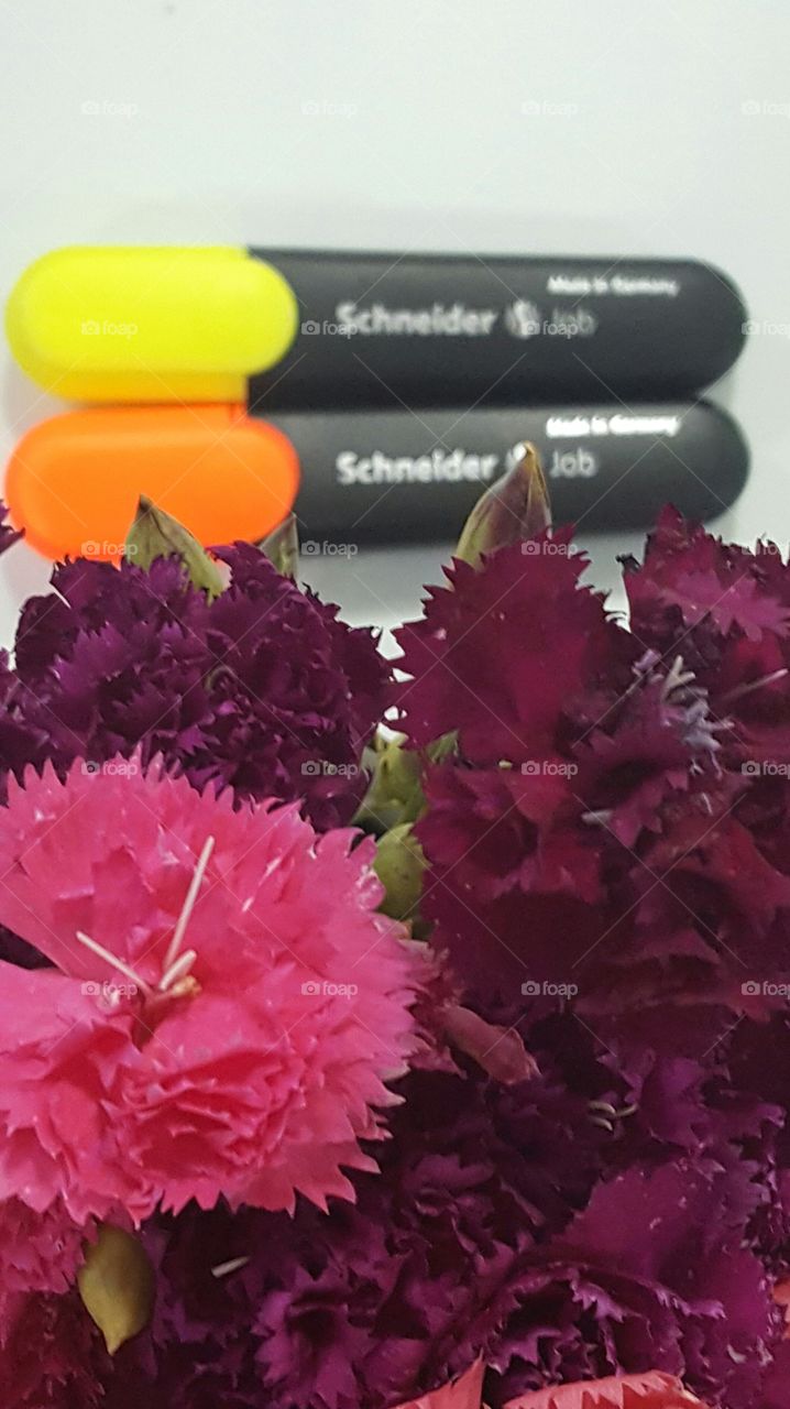 Schneider pen with flower.