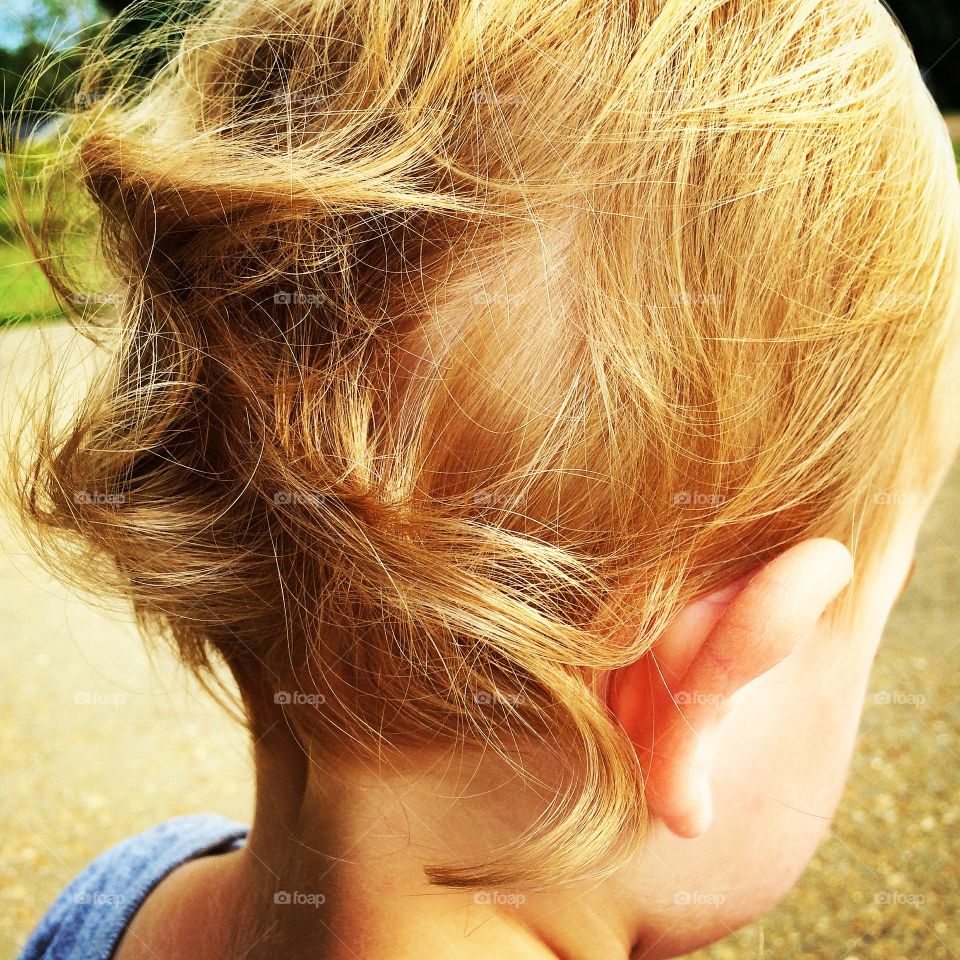 Beautiful curls on the back of a toddler boy's head.