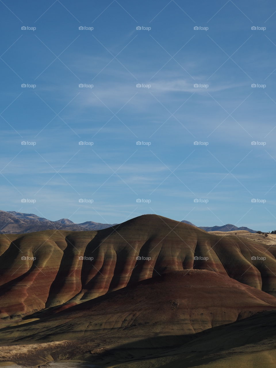 The incredible beauty of the red, gold, and browns of the textured Painted Hills in Eastern Oregon on a bright sunny day.