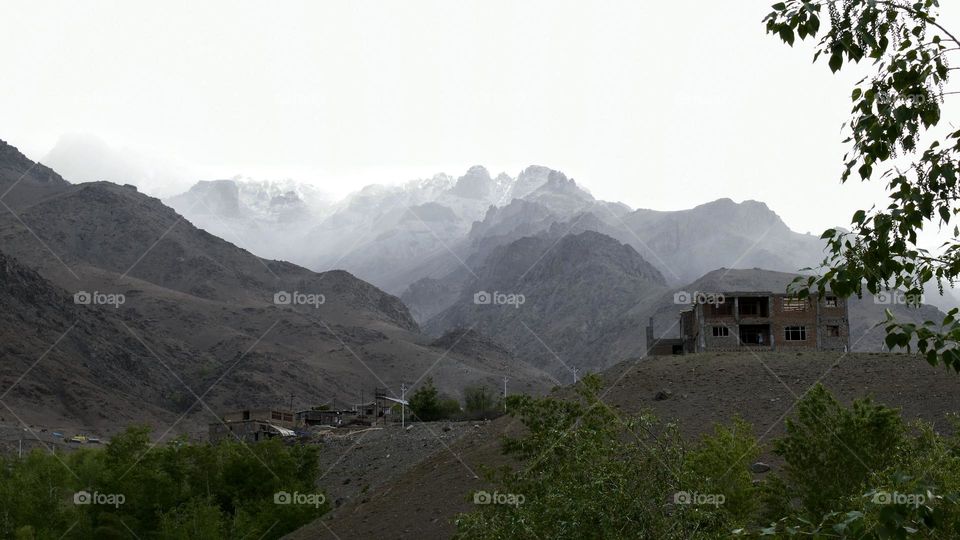 beauty of snow falling
