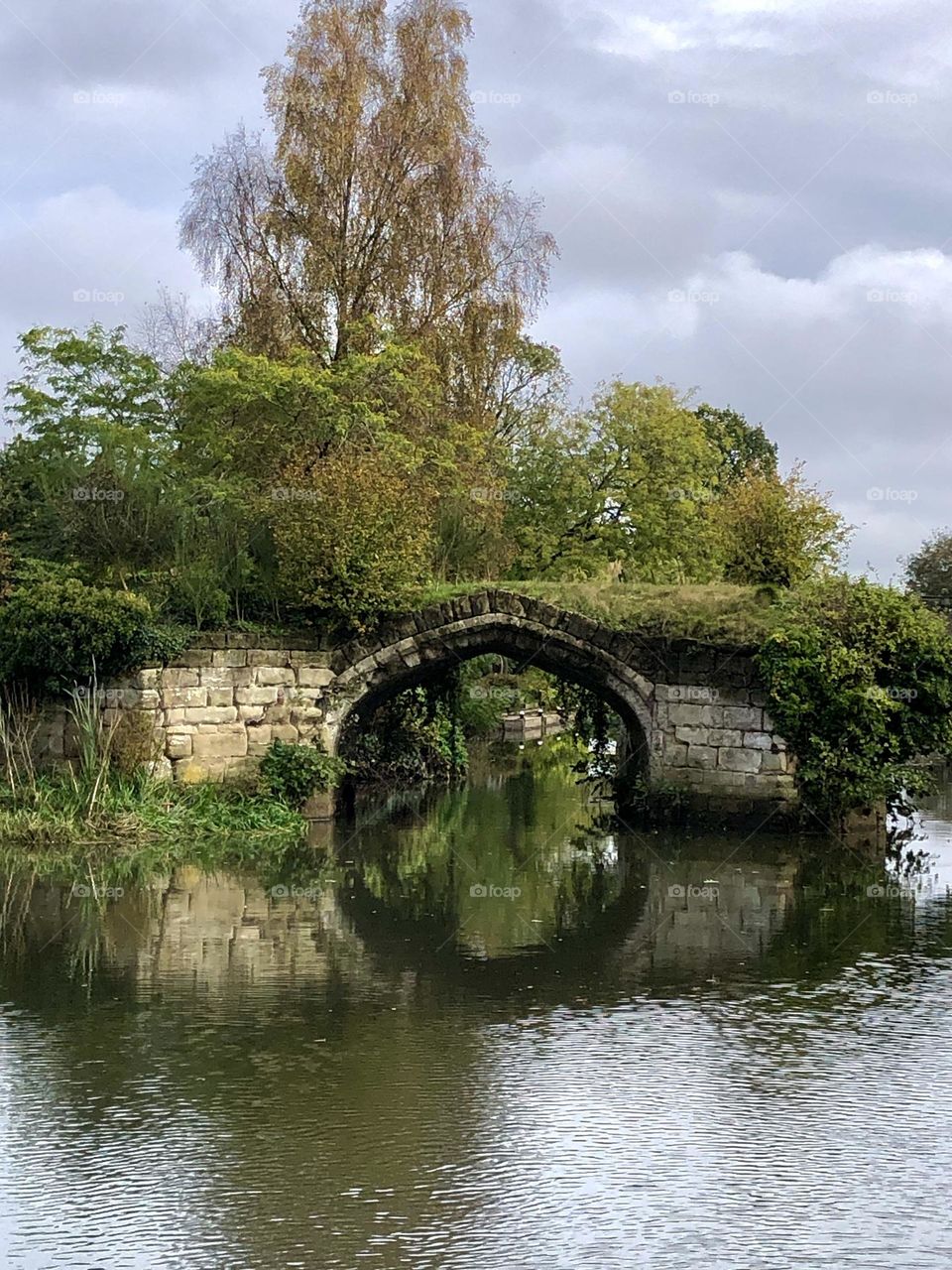 Overgrown bridge and reflection 