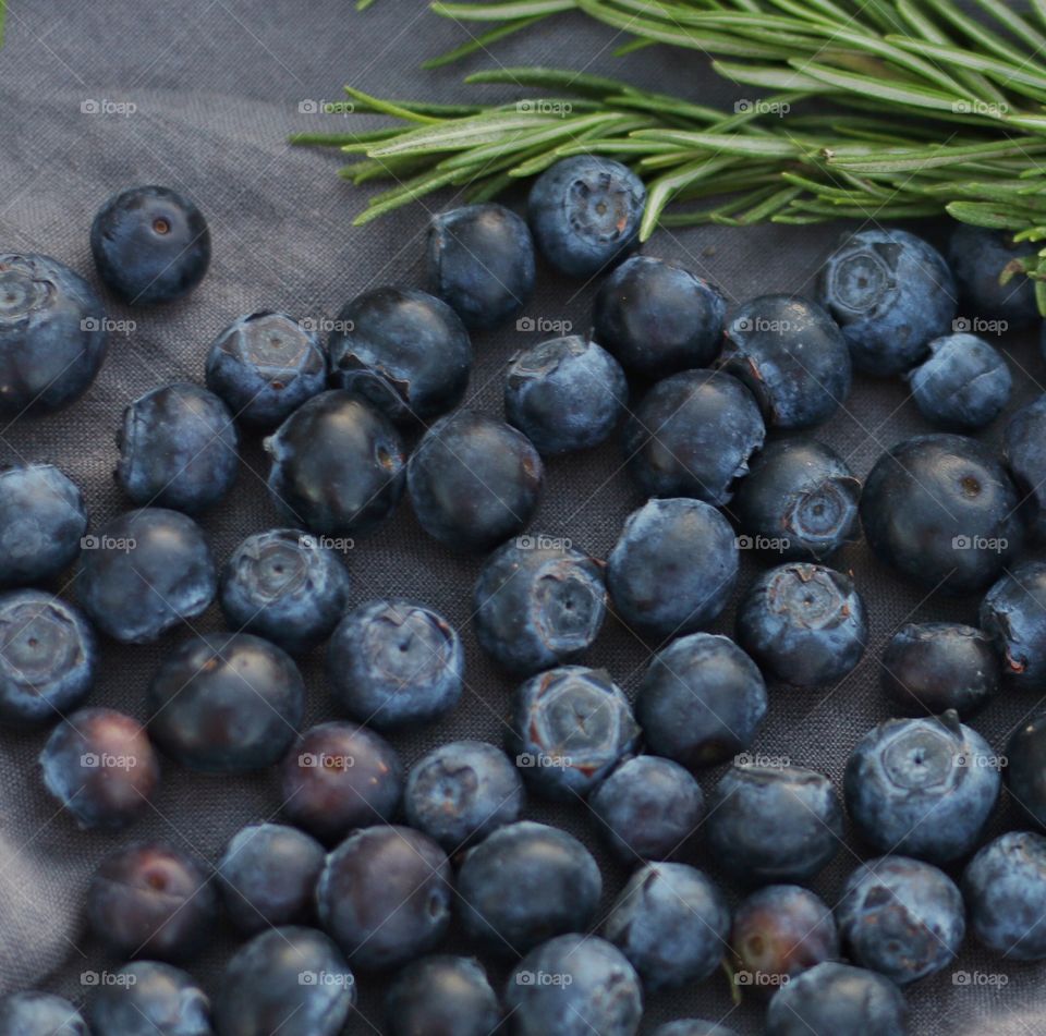 High angle view of blueberries