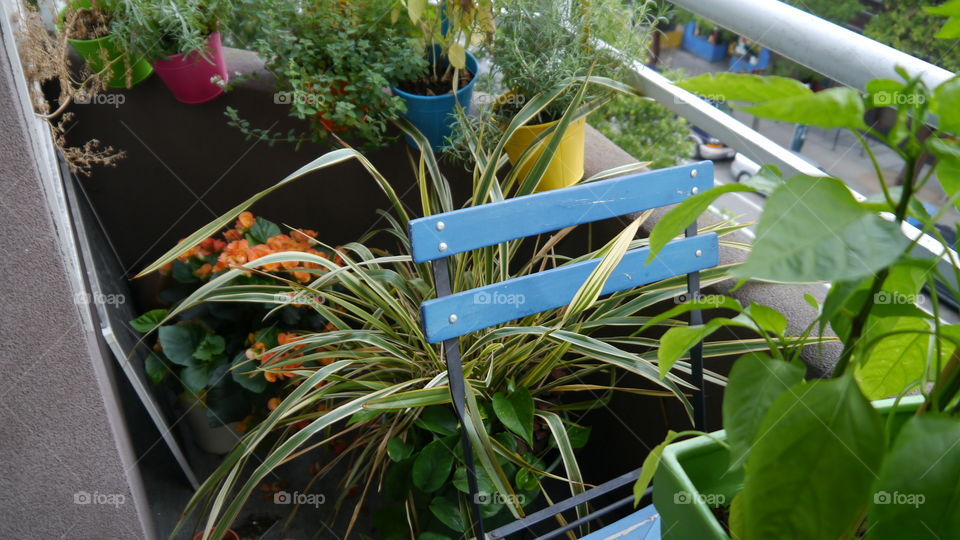 chair and balcony garden