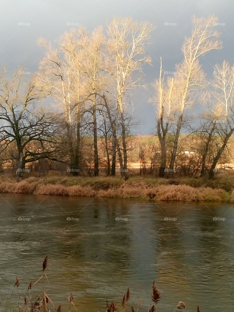 polish nature | light befor storm