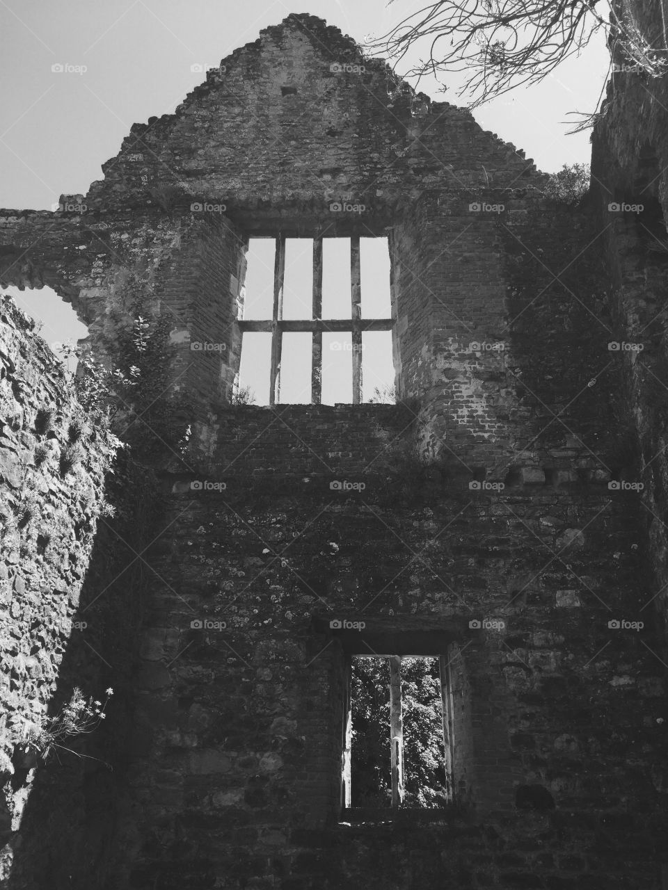 Netley Abbey Monastery Ruins