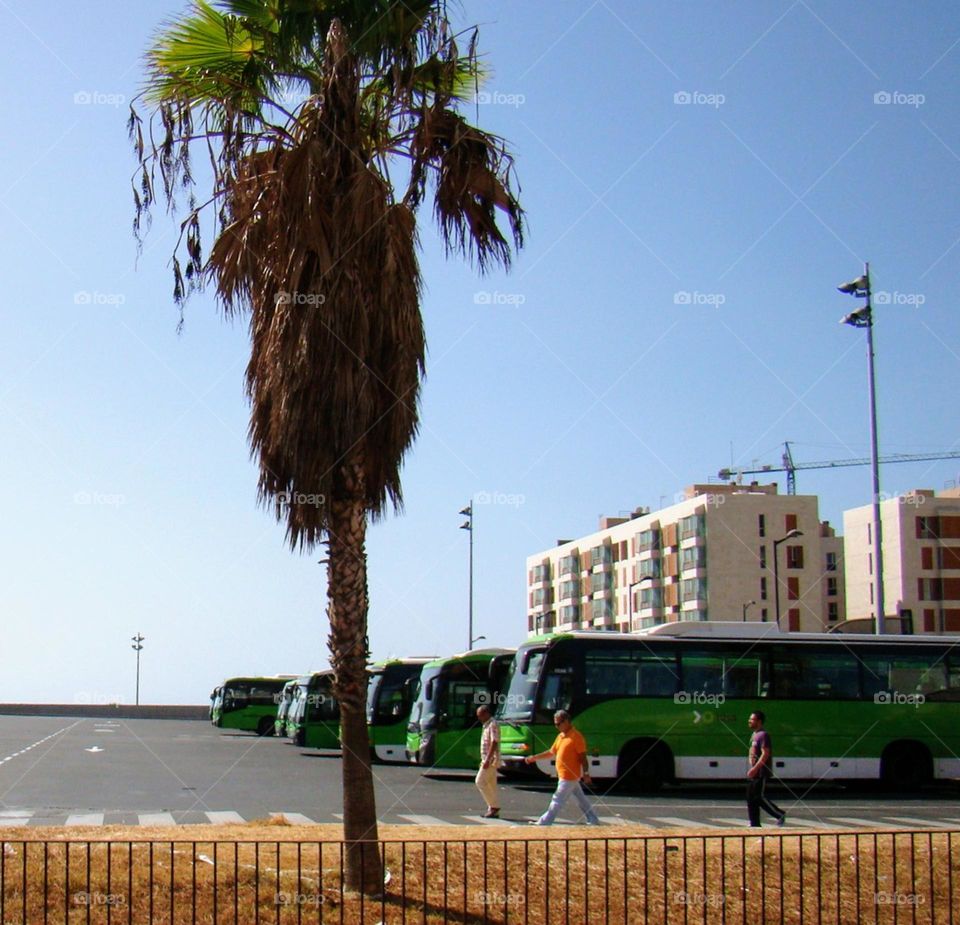 Bus station 🚍 Outdoor 🚌 Transport 🚍