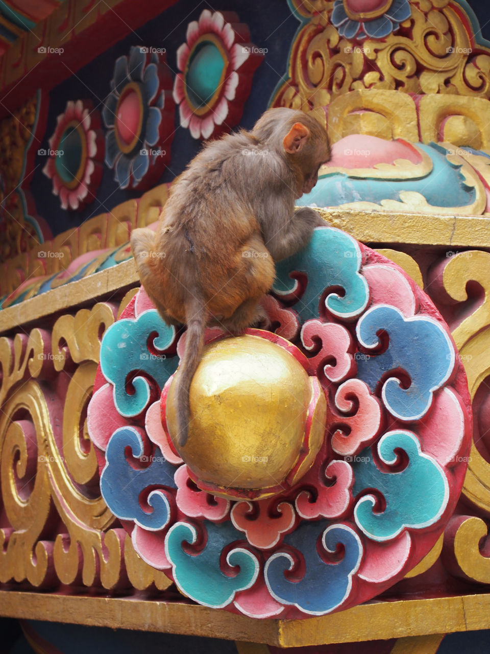 Monkey in temple