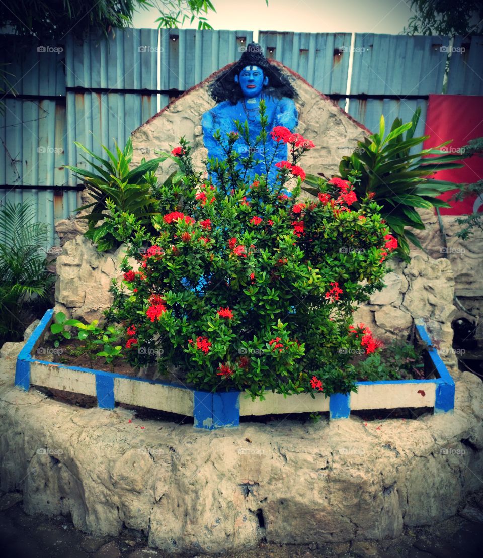 Lord Shiva Statue
Flower 🌺🌺🌺
🌿🌿🍀
Amazing Combination