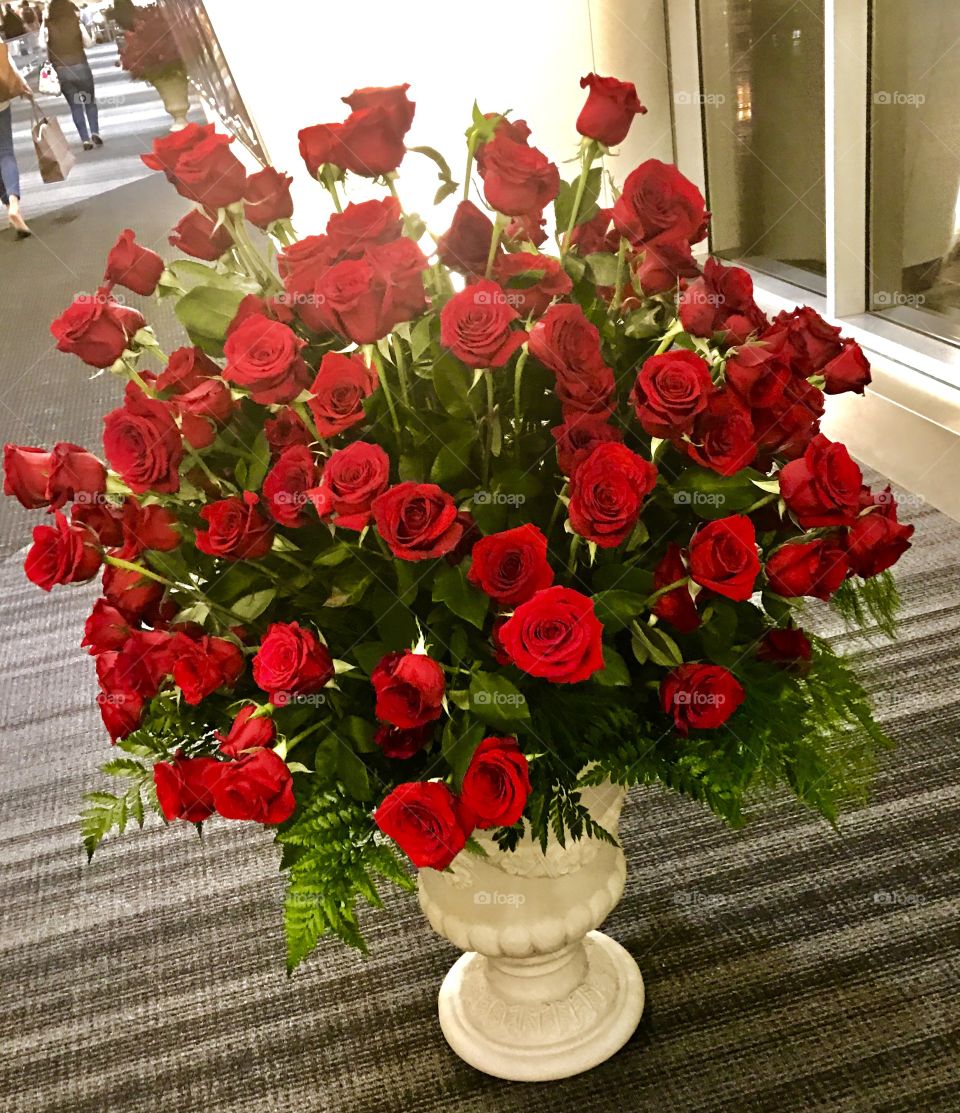 Kentucky Derby Week in Louisville 