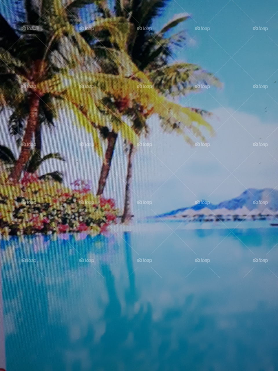 paisagem água azul com mantenhas no fundo