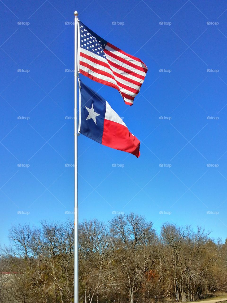 An American and Texas State flags flying over trees in winter