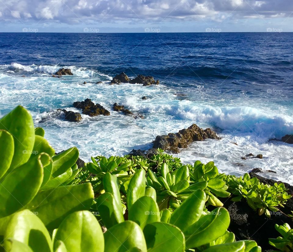 Naupaka, lava, waves, sky