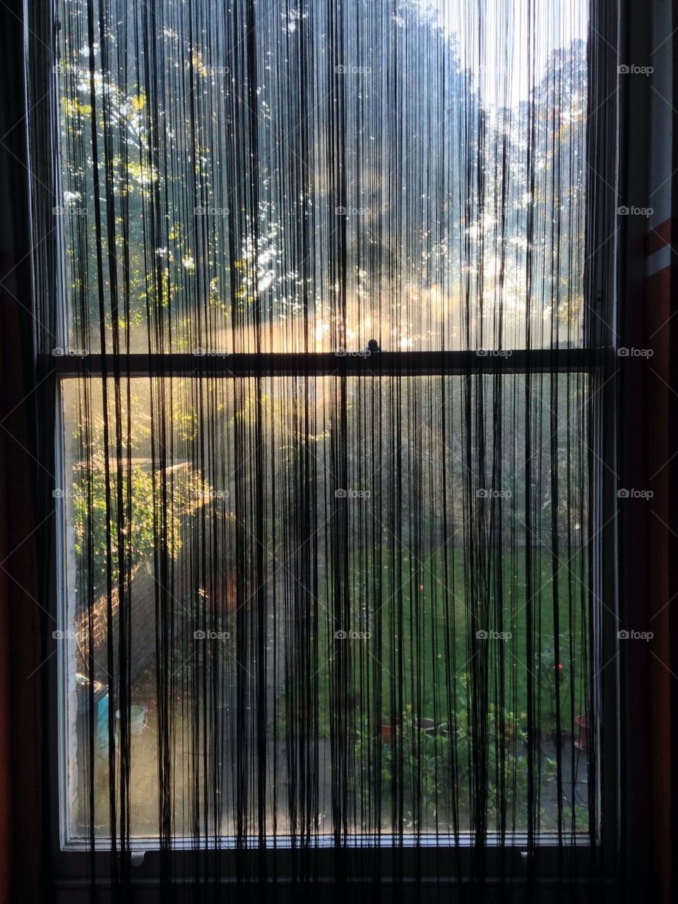 Window. House window overlooking garden
