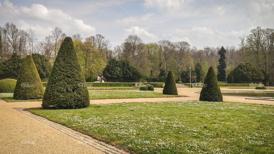 Beautiful side view of mowed square lawns and cone bushes in a public park in Belgium, close-up side view. The concept of beautiful landscapes.