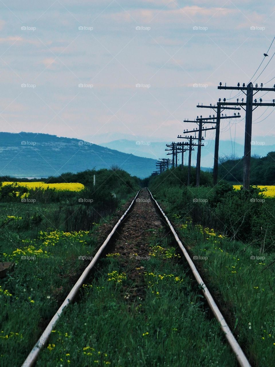 the railway in spring colors