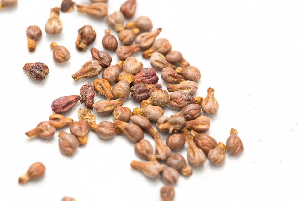 Seed, Dry, Food, Nutrition, Batch