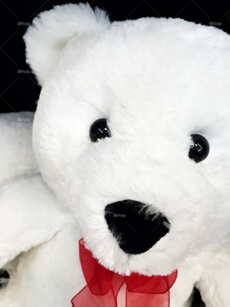 Cute close up of a white teddy bear. 