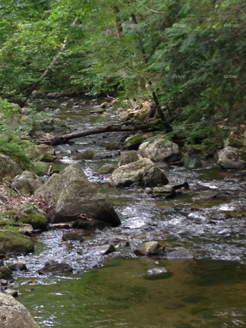 Mountain stream 