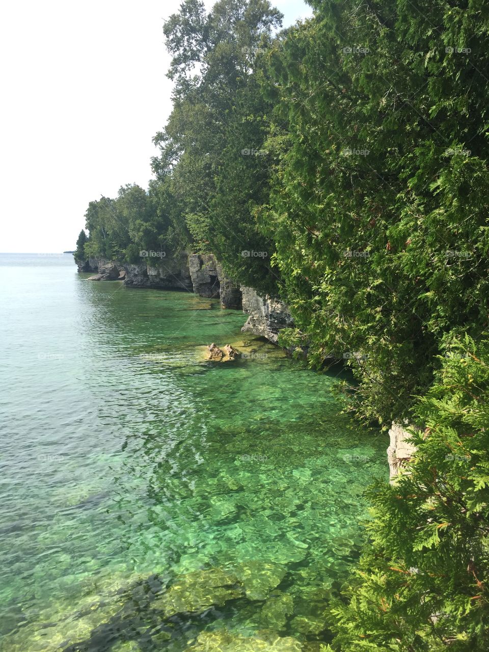 High angle view of rocky shore