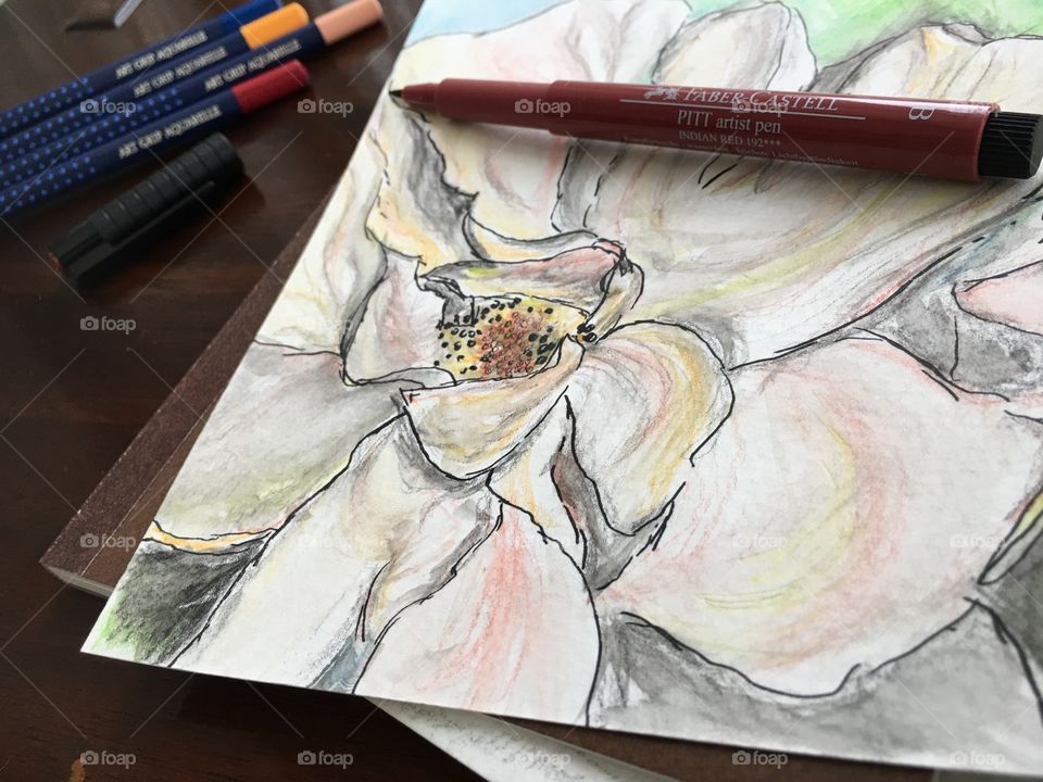 Closeup low angle view Watercolor sketch of flower on Wood table and sketchbook with colorful Faber-Castell PITT Artist pens and Art Grip Pencils 