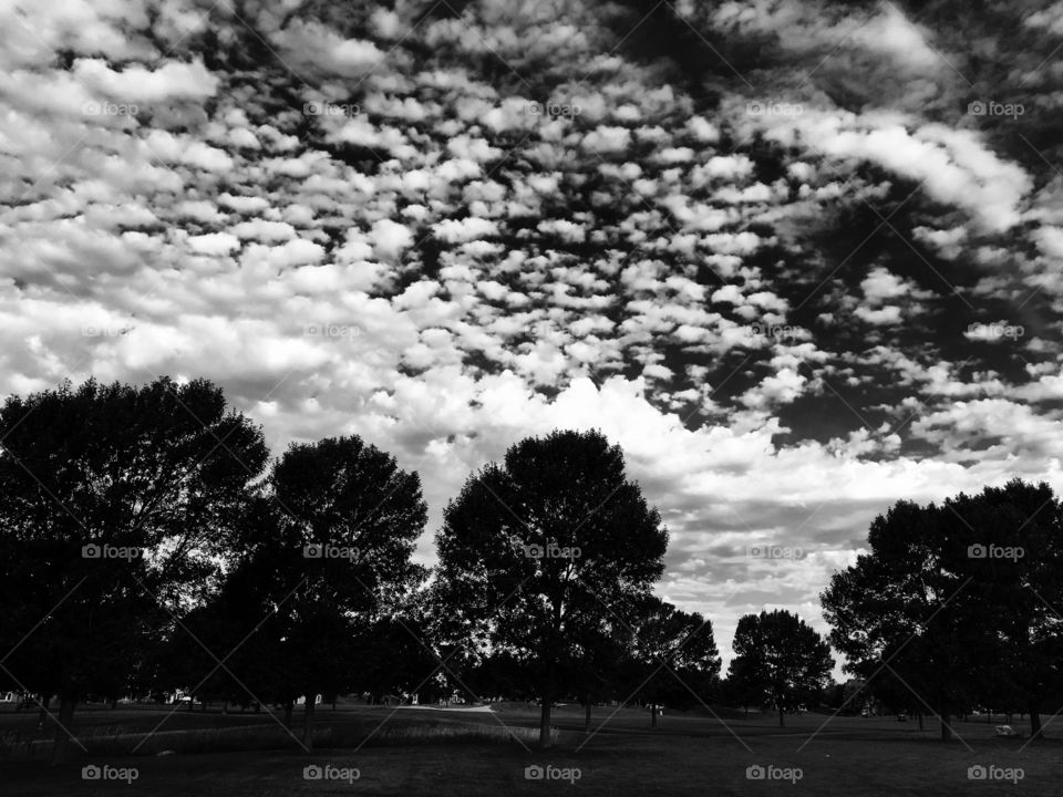 Clouds over the Course